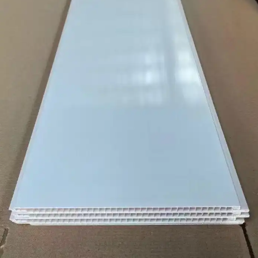 PVC3 PVC3